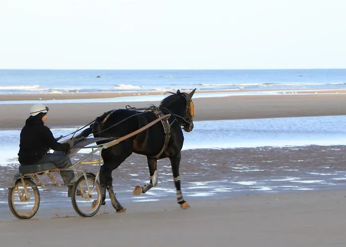 Les Bains De Mer